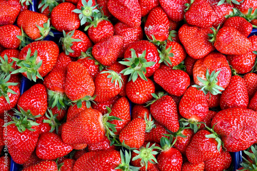 Fresh strawberries for sale in local market. Strawberry. Fresh strawberries for sale in local market. Strawberry.