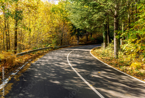 autumn road, leading to highland snow mountains with yellow and green trees and bushes on sides