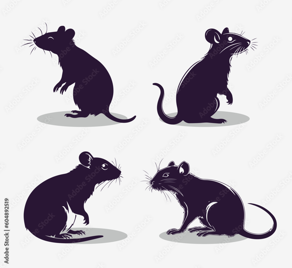 Set of graphic illustration of a black silhouette of a realistic rat in isolate on a white background. Vector illustration