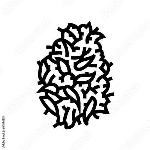 cannabis bud plant line icon vector. cannabis bud plant sign. isolated contour symbol black illustration