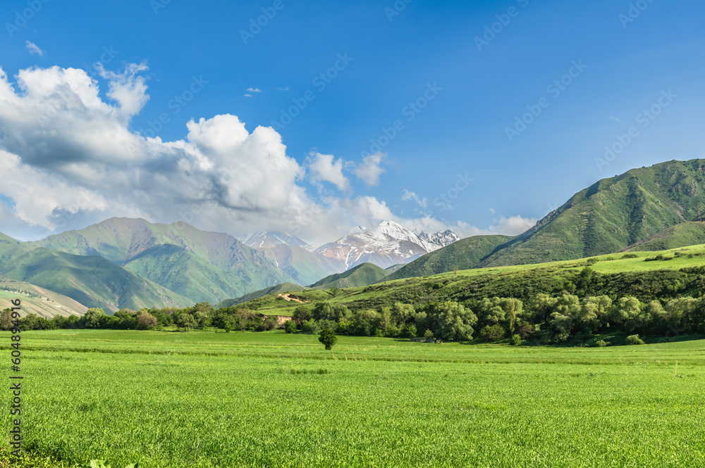 Green meadow against the backdrop of green hills and snow-capped peaks.Blue sky with clouds.Journey into the wild.
