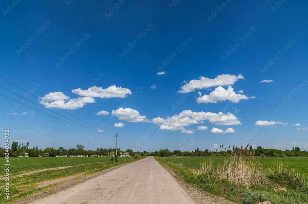 Panorama of green field and rural road. Blue sky with clouds.
