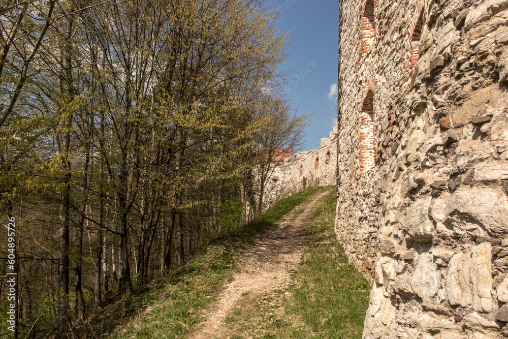 Tenczyn Castle (castle ruins, fragments of walls) in the village of Rudno, near Krakow in Poland