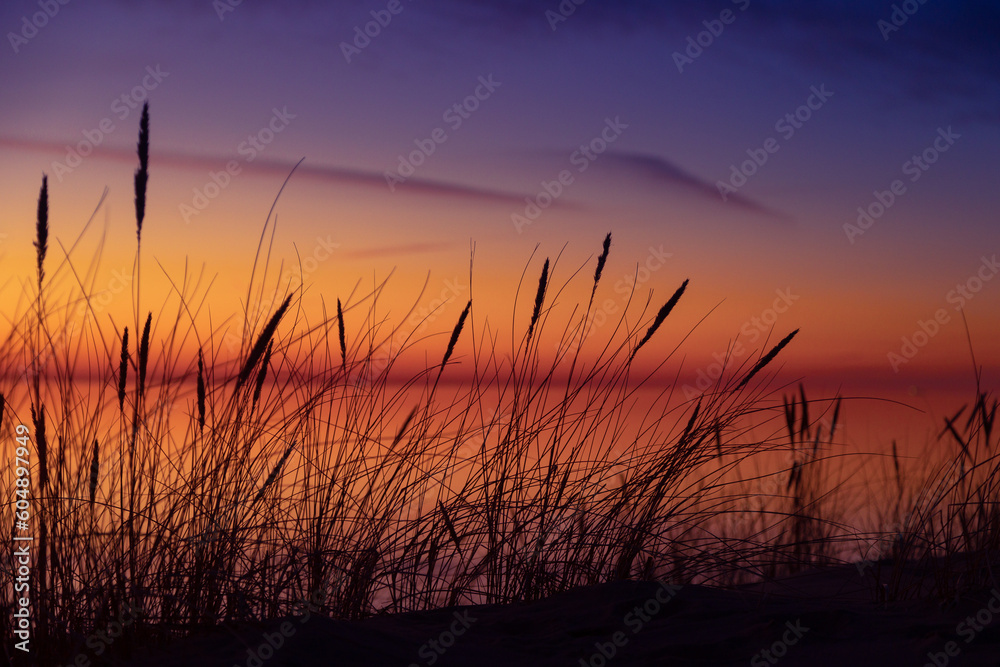 Golden Horizon: Baltic Sea Beach Basking in Sunset's Glow. Northern Europe scenery.