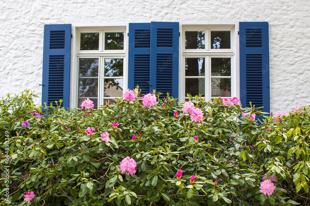 Old German house with wooden windows with wooden shutters and rhododendron