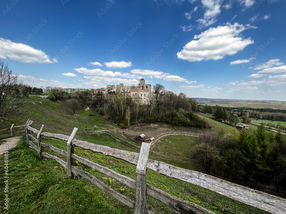 Tenczyn Castle - the ruins of a castle located in the Jura Krakowsko-Częstochowska, Poland