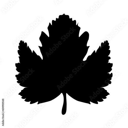 Raspberry leaf silhouette on isolated white background.