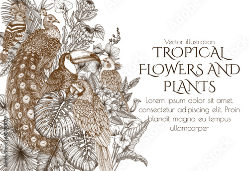 Vector banner template with tropical garden with exotic birds. Macaw parrot, toucan, hoopoe, peacock and cockatiel parrot in engraving style