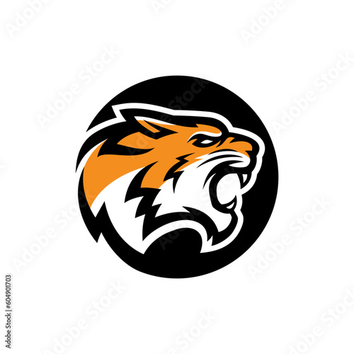 tiger animal mascot head logo vector illustration
