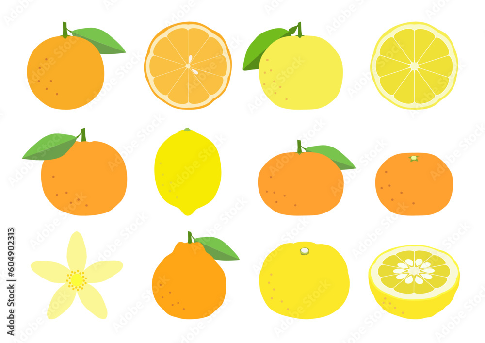 Set of citrus fruits icons