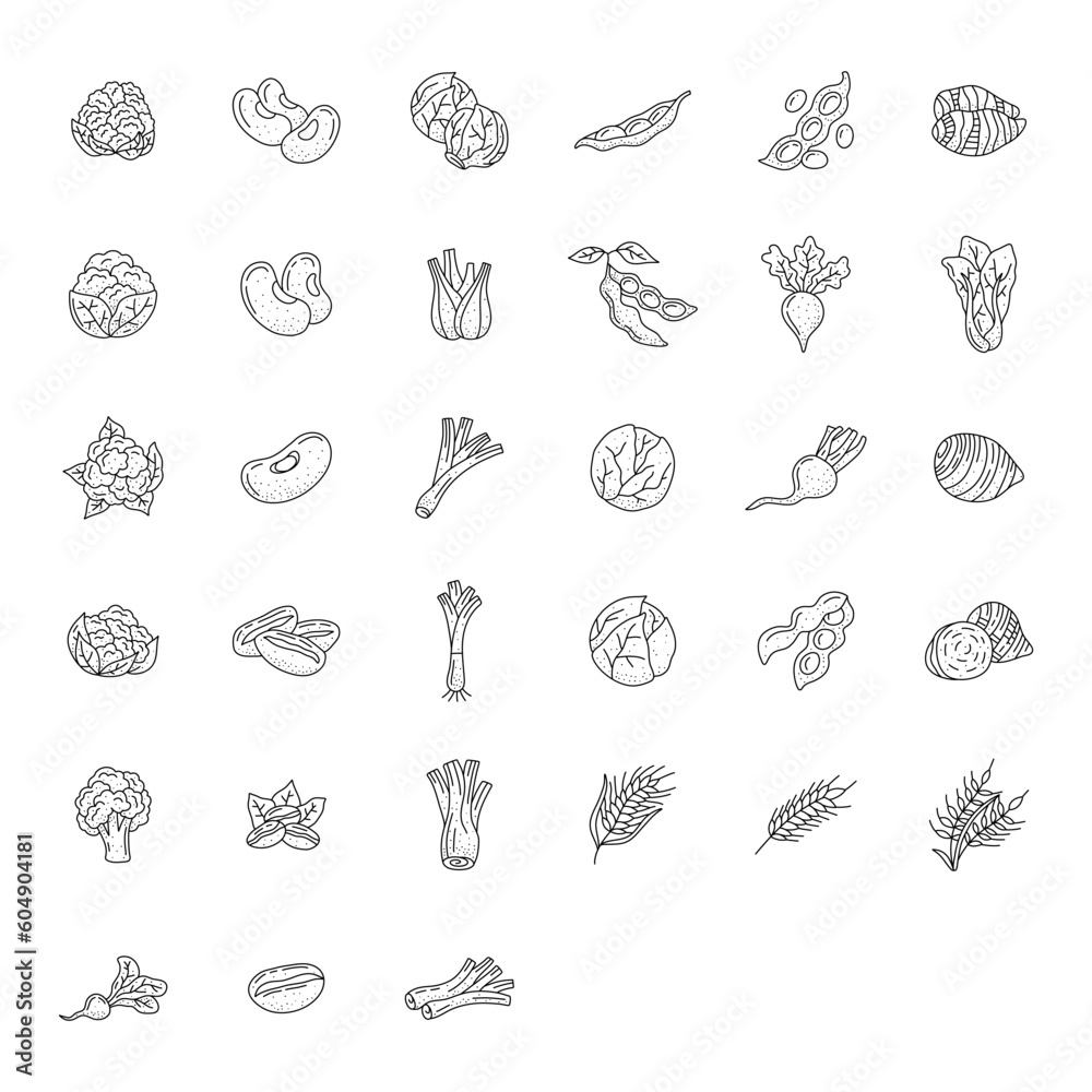 vegetable element doodle line set. Freehand drawing fruit and vegetables on a sheet of exercise book. Vector illustration. Set vegetable element doodle line set. Freehand drawing fruit and vegetables on a sheet of exercise book. Vector illustration. Set