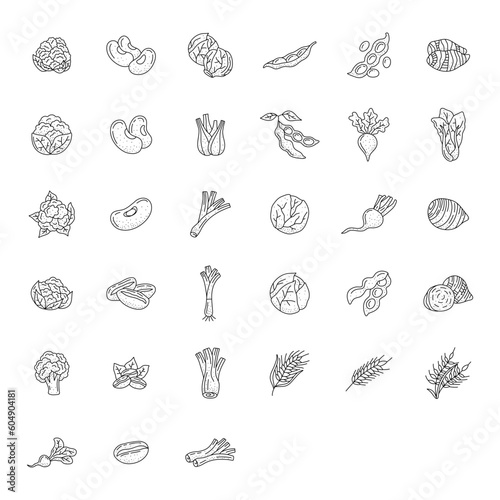 vegetable element doodle line set. Freehand drawing fruit and vegetables on a sheet of exercise book. Vector illustration. Set