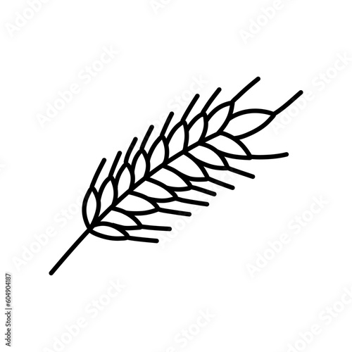 Wheat Ear Handmade vector illustration, sketch. wheat vector sketch illustration
