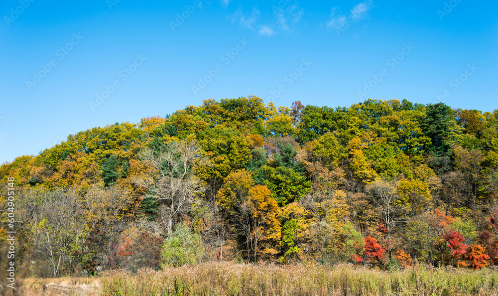 Fototapeta premium The mountain autumn landscape under blue sky