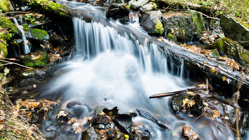 Clear water running on fallen tree