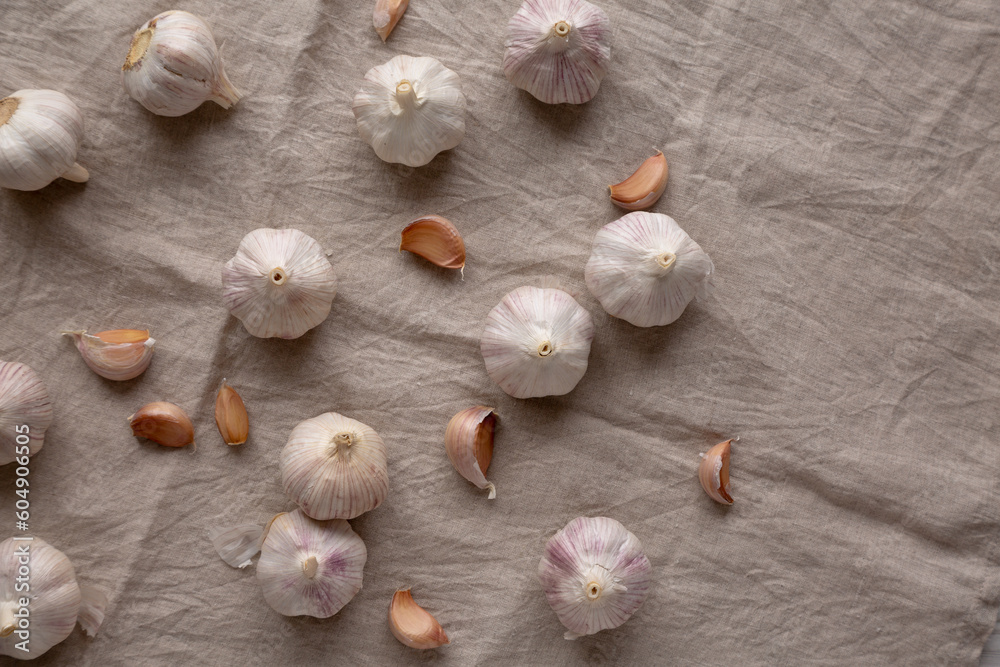 Raw Organic White Garlic Bulbs on a cloth, top view. Flt lay, overhead, from above. Copy space.