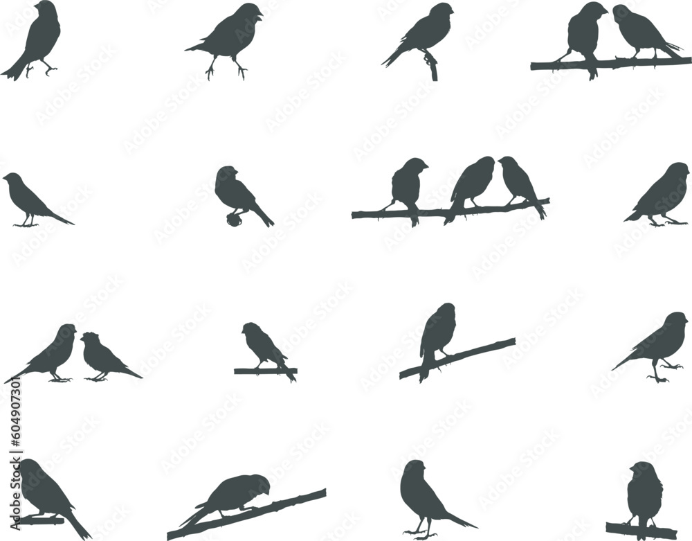 Canary bird silhouette, Bird silhouettes, Canary SVG, Canary vector, Canary clipart. Canary bird silhouette, Bird silhouettes, Canary SVG, Canary vector, Canary clipart.