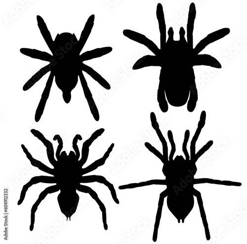 Set big spider silhouette isolated, logo, mascot, movie, nature, outline, phobia, power, predator, realistic, scary, sign, silhouette, spider, spooky, symbol, template, vector, warning