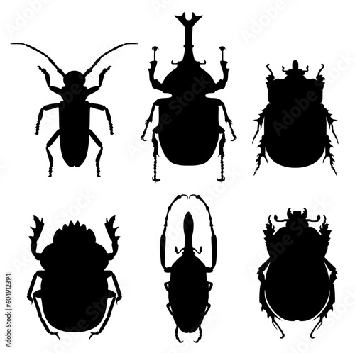 beetles, silhouette, insect, ladybug, pest, biology, bug, animal, nature, cockroach, dangerous, bite, fairy, invertebrate, control, protection, zoology, label, ladybird, symbols, limbs, sign, set