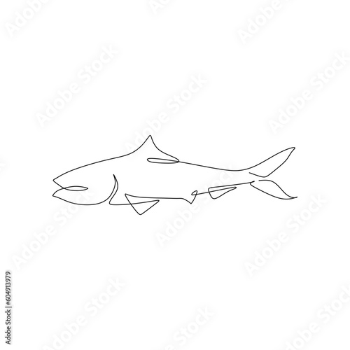 continuous line drawing of fish. Vector illustration on white background.