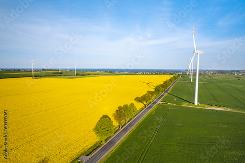 Wind farm located next to a flourishing rapeseed field. Puck Bay in the background. © blesz
