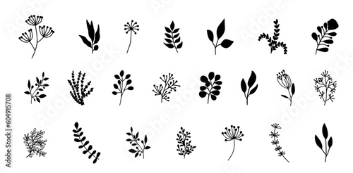 minimal botanical graphic sketch drawing, trendy tiny tattoo design, floral elements vector illustration © aditha