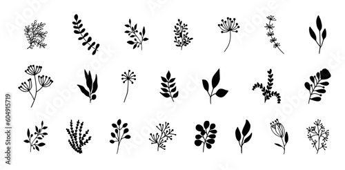 minimal botanical graphic sketch drawing  trendy tiny tattoo design  floral elements vector illustration