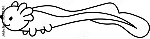 Coloring Page Axolotl Animal