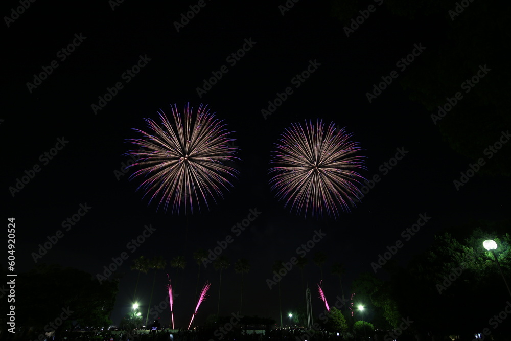 Nagoya Art Fireworks Festival in Japan