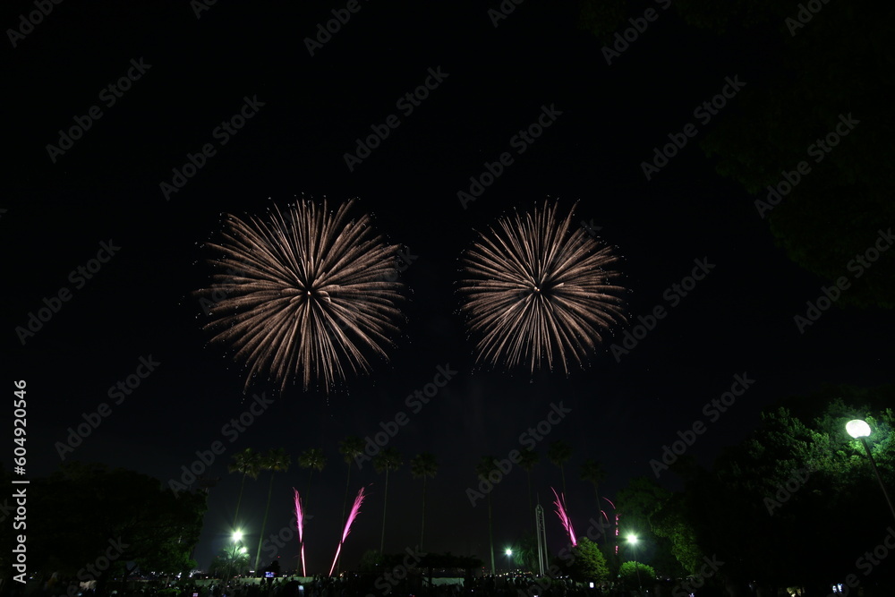 Nagoya Art Fireworks Festival in Japan