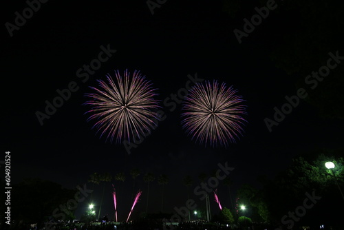 Nagoya Art Fireworks Festival in Japan © leap111