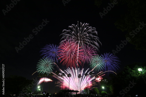Nagoya Art Fireworks Festival in Japan © leap111