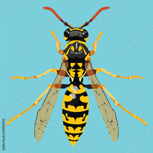 realistic vector image of a wasp on a blue background. detailed drawing of a wasp