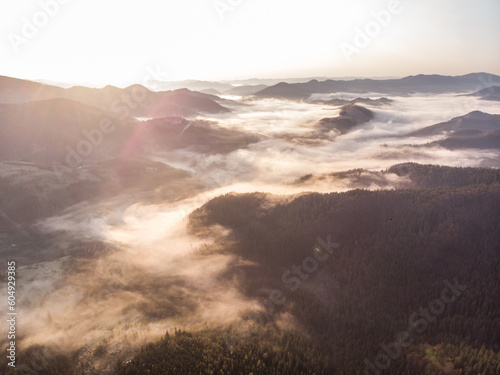Obraz na płótnie morning mist in Carpathians w salonie