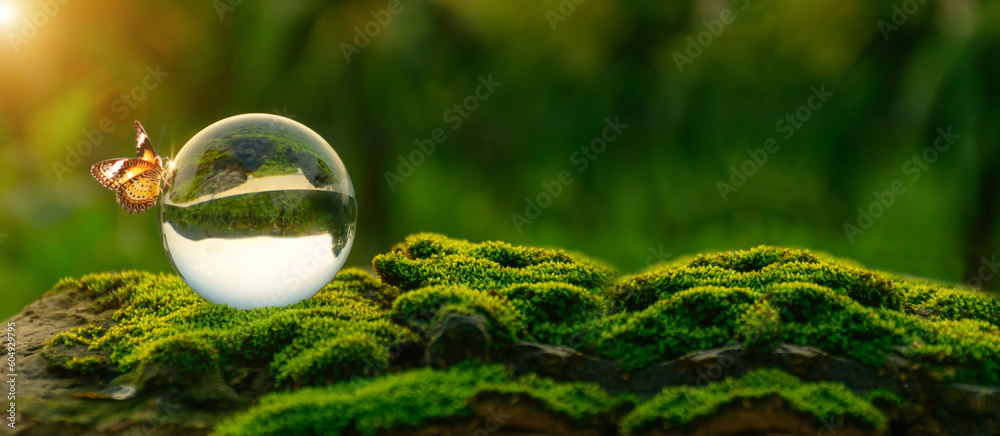 World environment day concept.Globe Glass with butterfly. circular economy renewable energy . sustainable development goals.Environmental protection renewable energy, green business, ESG - obrazy, fototapety, plakaty 