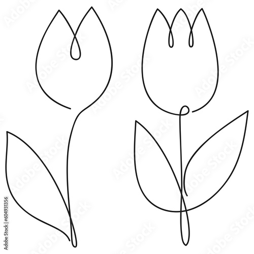 Tulip one line drawing. Continuous line flower. Hand-drawn illustration for logo, emblem and design card, poster.