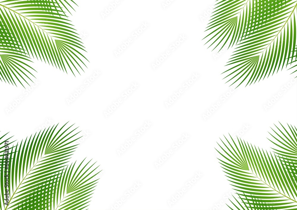 Coconut Leaves or Green Palm Leaves. Summer Background Frame. Vector Illustration Isolated on White Background. 