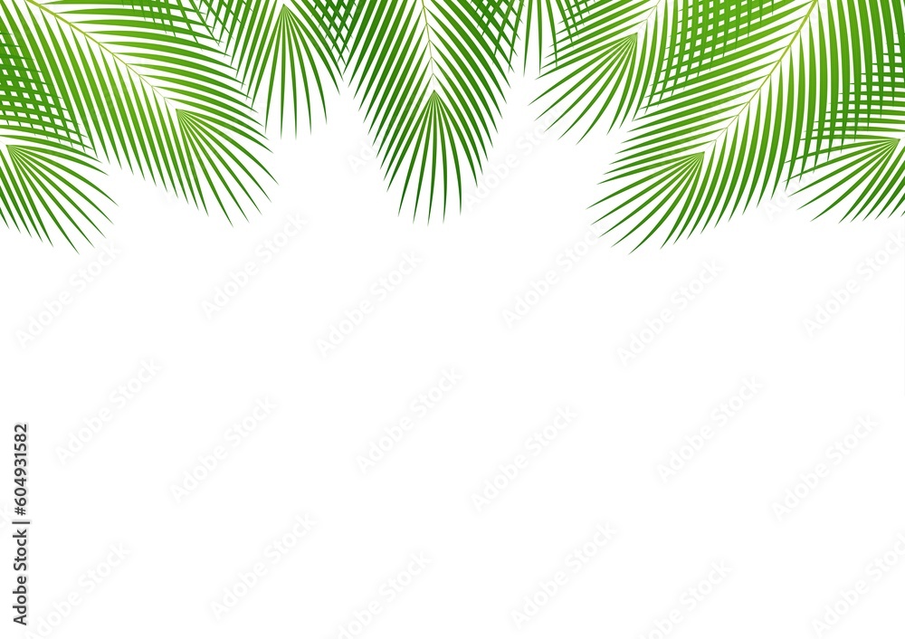 Coconut Leaves or Green Palm Leaves. Summer Background Frame. Vector Illustration Isolated on White Background. Coconut Leaves or Green Palm Leaves. Summer Background Frame. Vector Illustration Isolated on White Background.