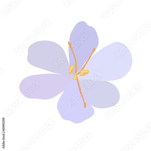 Collection of crocuses and saffrons. A set of spring purple, yellow and white crocuses. Vector illustration of beautiful multicolored flowers