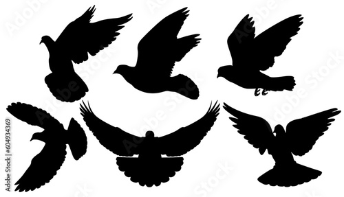 bird, christianity, freedom, wedding, silhouette, dove, charity, wing, beauty, forgiveness, care, god, greeting, fly, heaven, holy, hope, peace, religion, vector illustration