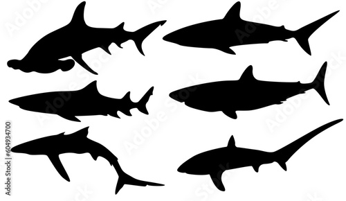 set collections black silhouette shark icon. ocean predator symbol design vector illustration