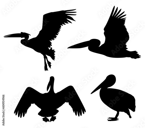  stork, bird, birth, black, born,, clipar cute, design, elegant, element, farm, flamingo, flight, fly,, icon, illustration, migration, naturel, seagull, set, sign, silhouette, speed, stork, symbol,  photo