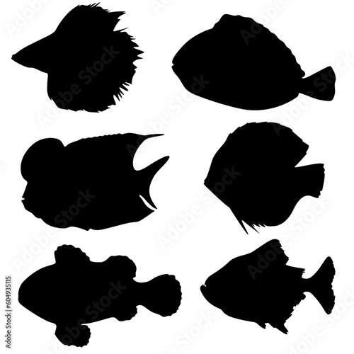 Set aquatic fish silhouette, fresh, healthy, animal, sea, icon, aquatic, beetle, black, cartoon, collection, creature, sign, slimy, squid, swim, symbol, natural, nature, ocean, vrctor
