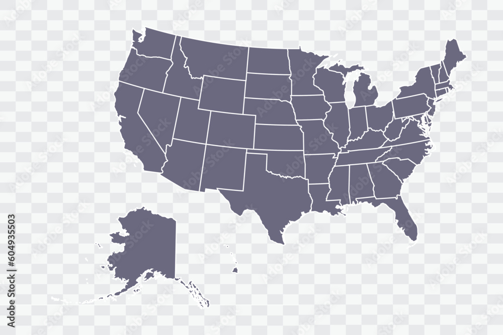 USA Map pewter Color on White Background quality files Png