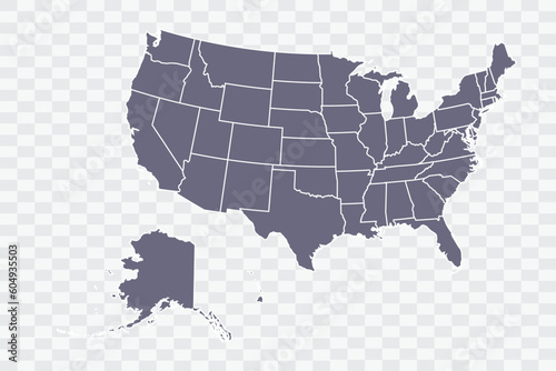 USA Map pewter Color on White Background quality files Png