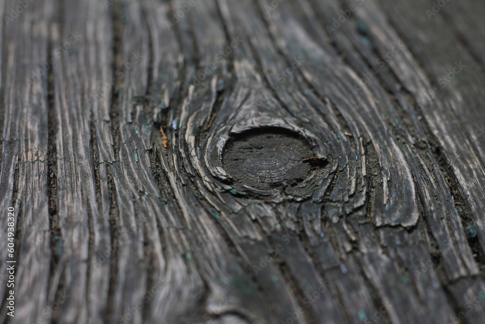 Fototapeta premium texture background texture wood lens aperture blurriness camera sharpness bokeh