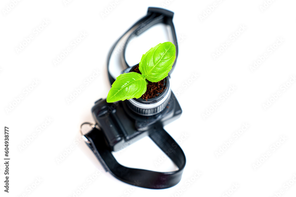 Young Sprout Grows in a Miniature Camera Young Sprout Grows in a Miniature Camera