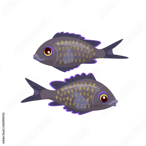 Two dark funny fish on the white background. Vector color isolated illustration.
