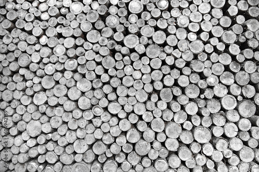 Aufgestapeltes Brennolz als Rundholz Monochrom Aufgestapeltes Brennolz als Rundholz Monochrom