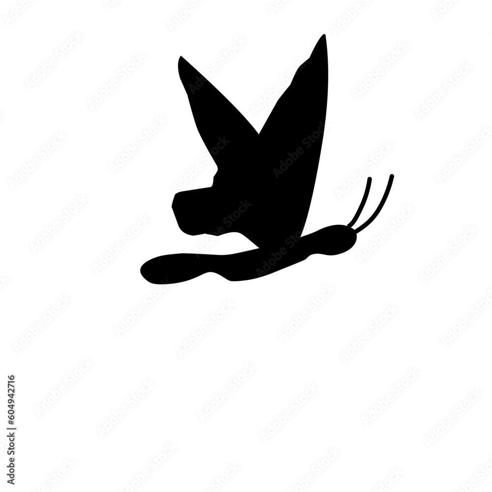 butterfly vector butterfly vector